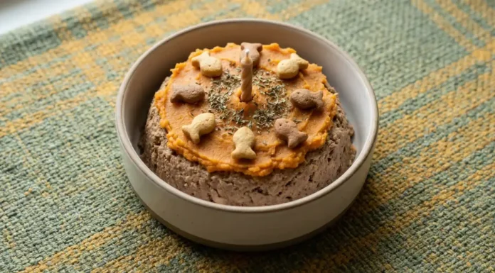 Cat Birthday Cake Recipe: Adorable Meat Cake for Cats Cat Birthday Cake